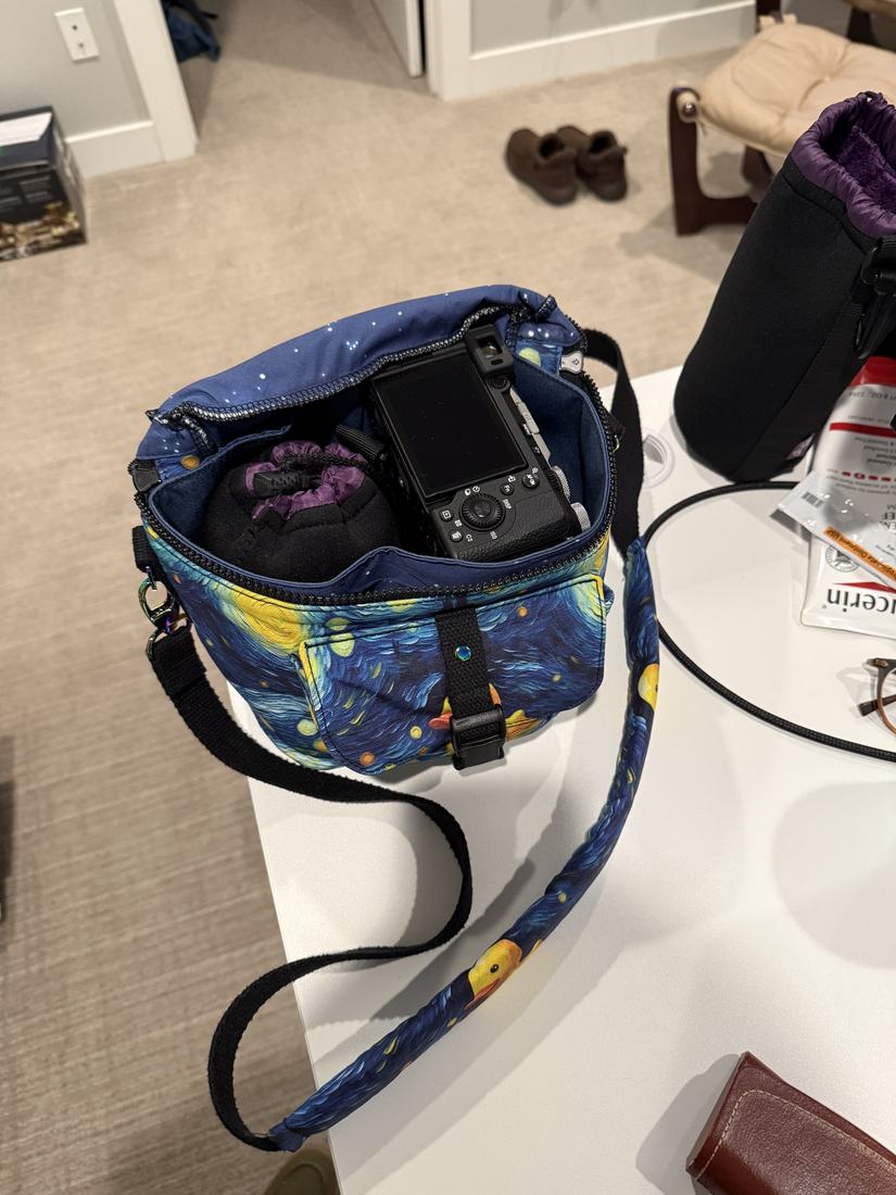 The camera bag open with a camera sitting inside.