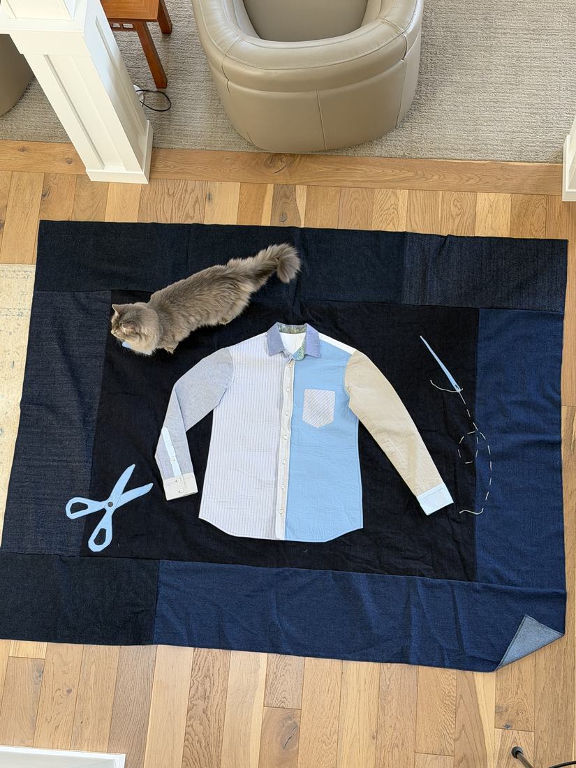 The quilt laid out flat on a wood floor with the pieces arranged, a longhaired cat walking across the top border.